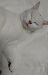 DSC_3849.JPG