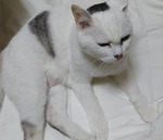 DSC_3952.JPG