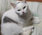 DSC_4040.JPG