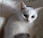DSC_6296.JPG