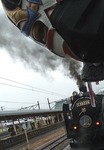 DSC_7224.JPG
