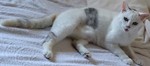 DSC_8182.JPG