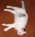 DSC_8209.JPG