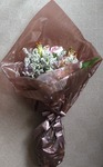 DSC_8211.JPG